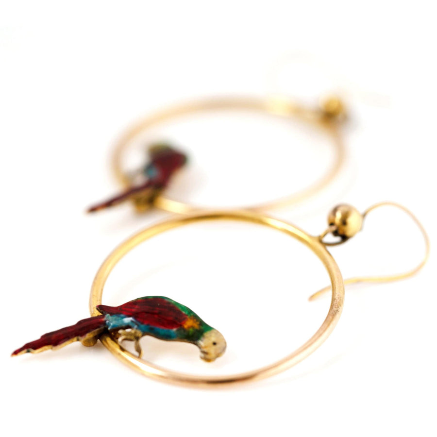 1920s Earrings Antique 1920s Enamel Parrot 9ct Gold Hoop Earrings Mayveda Jewellery