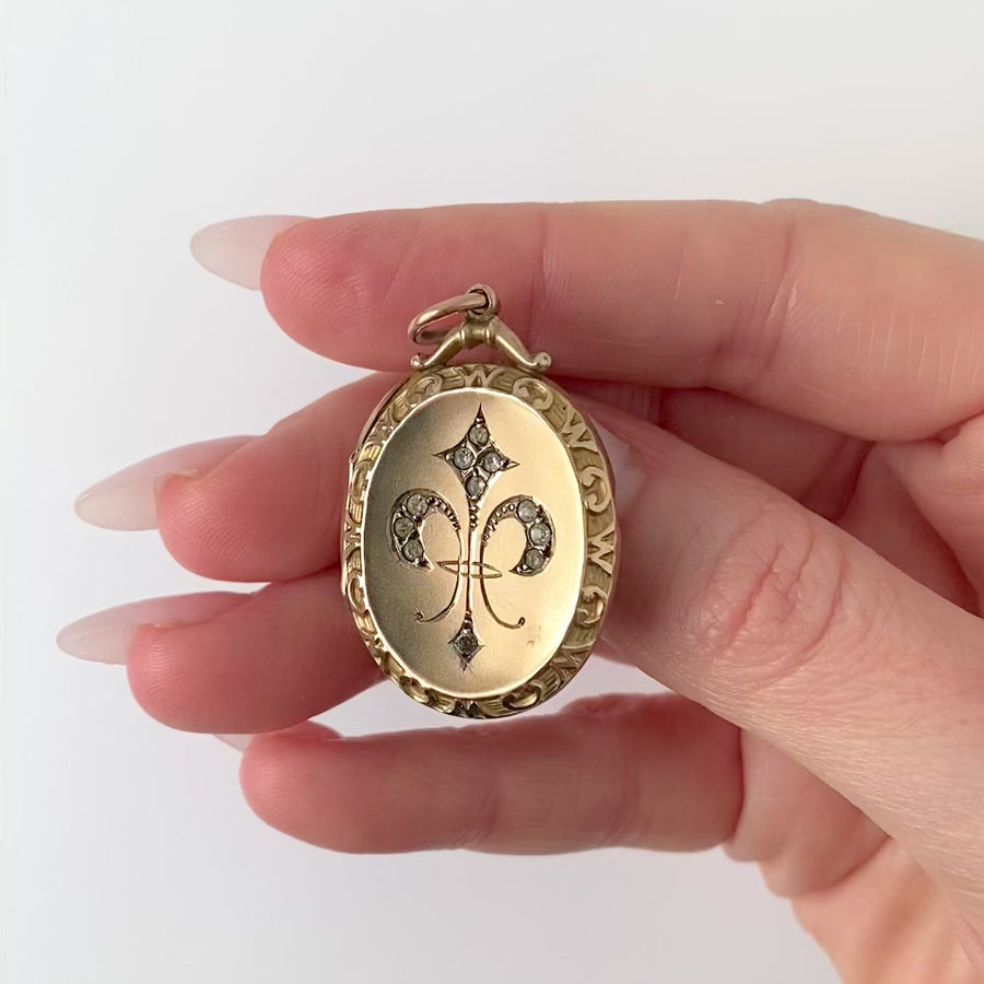 Antique Victorian Paste 'Fleur de Lis'  9ct Gold Locket Necklace