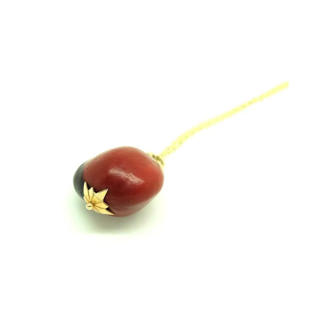 Agrandir