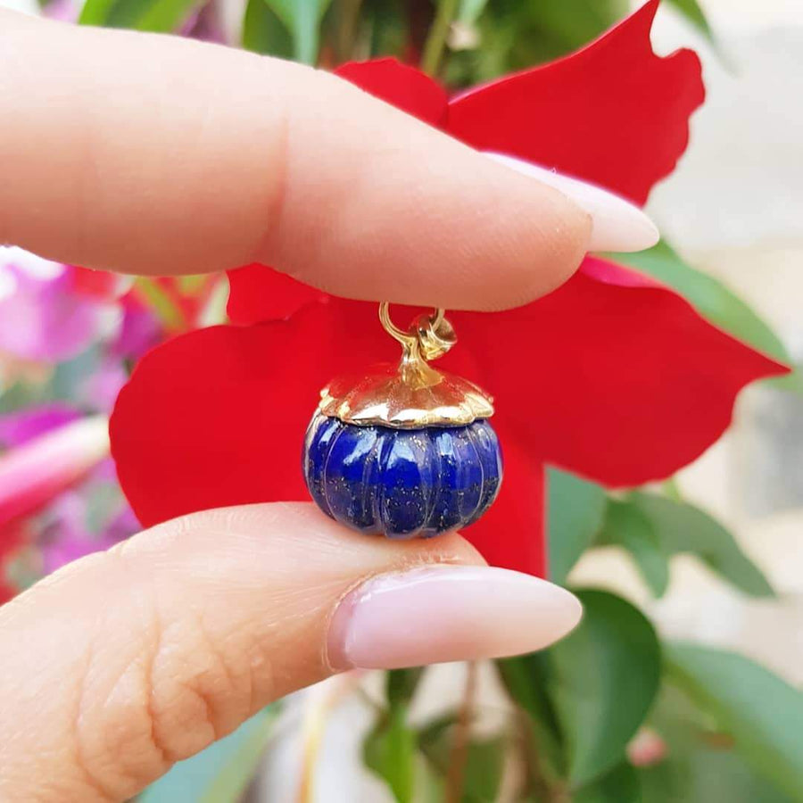 The Mayveda Wren Lapis Lazuli Necklace