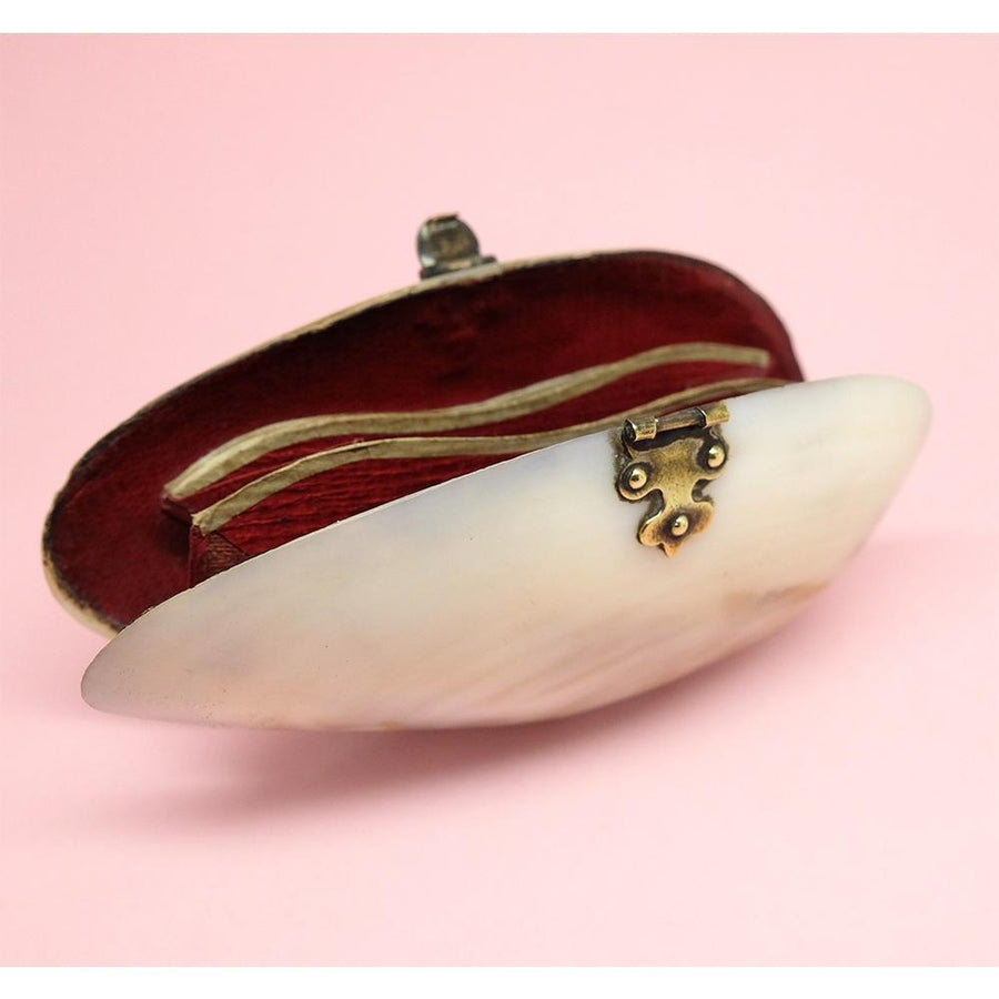 Eco-Friendly Clam Shell Coin Purse