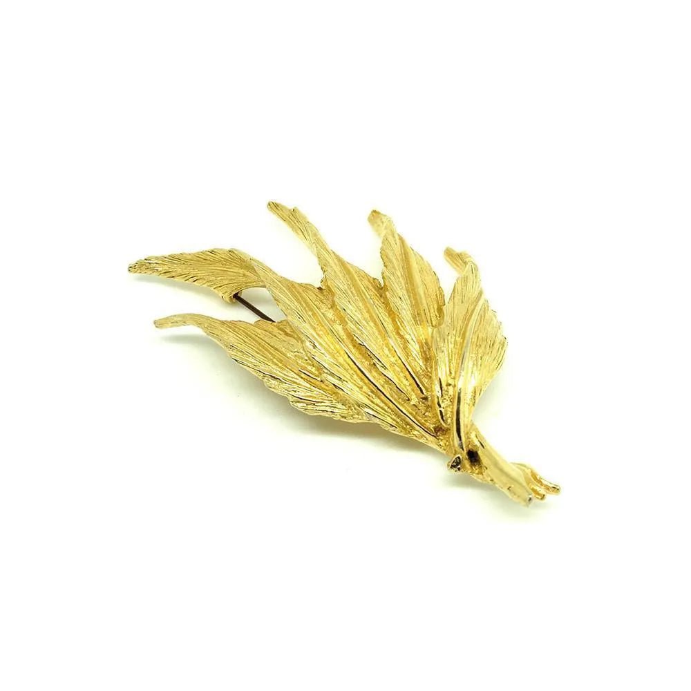 Agrandir