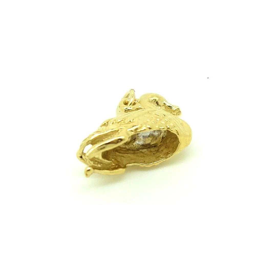 Agrandir